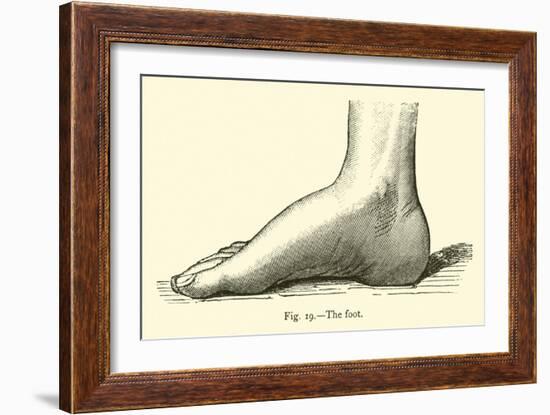 The Foot-Leveille-Framed Giclee Print