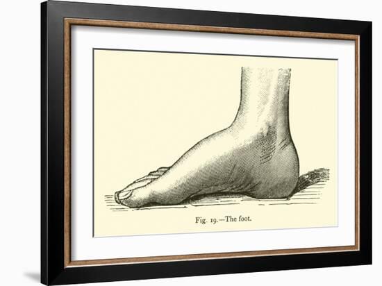 The Foot-Leveille-Framed Giclee Print