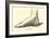 The Foot-Leveille-Framed Giclee Print