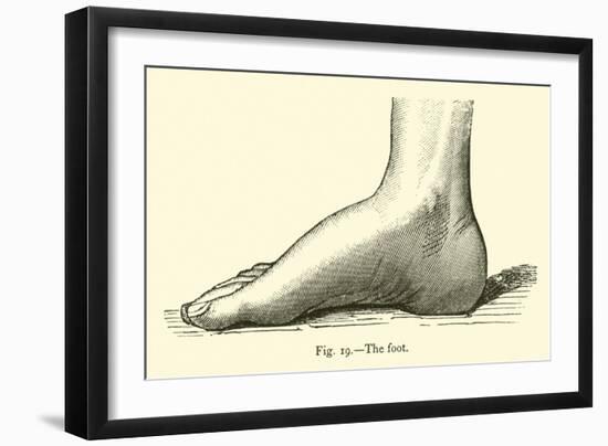 The Foot-Leveille-Framed Giclee Print