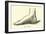 The Foot-Leveille-Framed Giclee Print