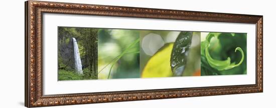 The Forest 1-Florence Delva-Framed Giclee Print