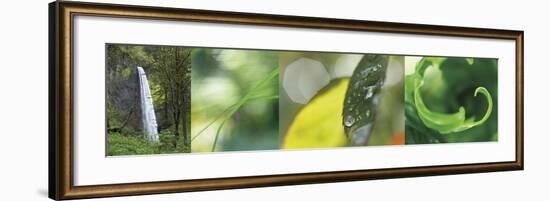 The Forest 1-Florence Delva-Framed Giclee Print