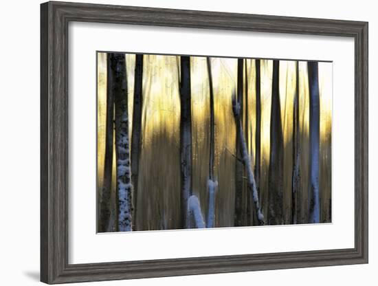 The Forest at Dawn-Marvin Pelkey-Framed Giclee Print