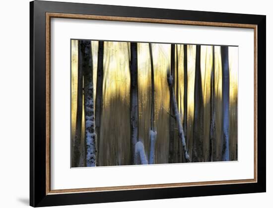 The Forest at Dawn-Marvin Pelkey-Framed Giclee Print