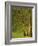 The Forest at Pontaubert, 1881-Georges Pierre Seurat-Framed Giclee Print