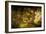 The Forest Crossed by Parsifal to Liberate Amfortas at Castle of Grail, from Opera Parsifal-null-Framed Giclee Print