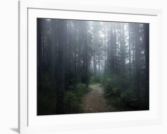 The Forest of Secrets-Christian Lindsten-Framed Photographic Print