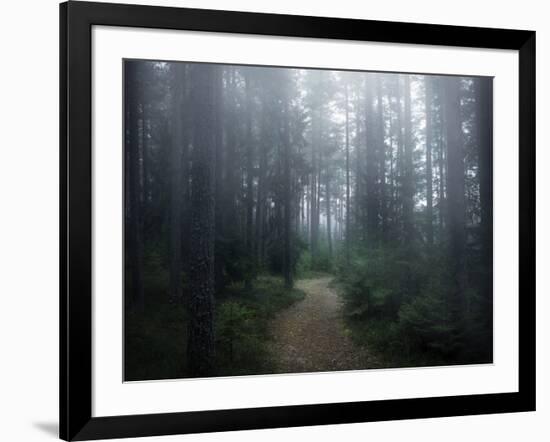 The Forest of Secrets-Christian Lindsten-Framed Photographic Print