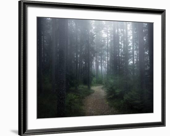 The Forest of Secrets-Christian Lindsten-Framed Photographic Print