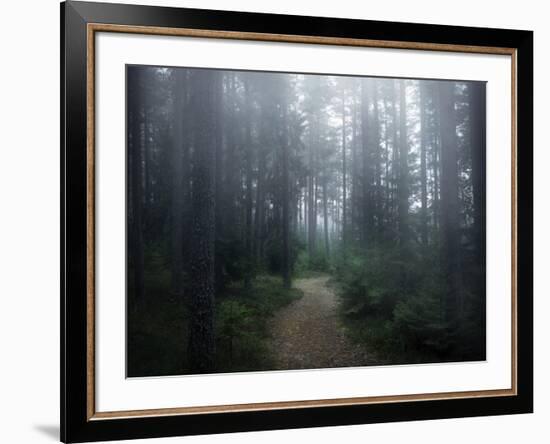 The Forest of Secrets-Christian Lindsten-Framed Photographic Print