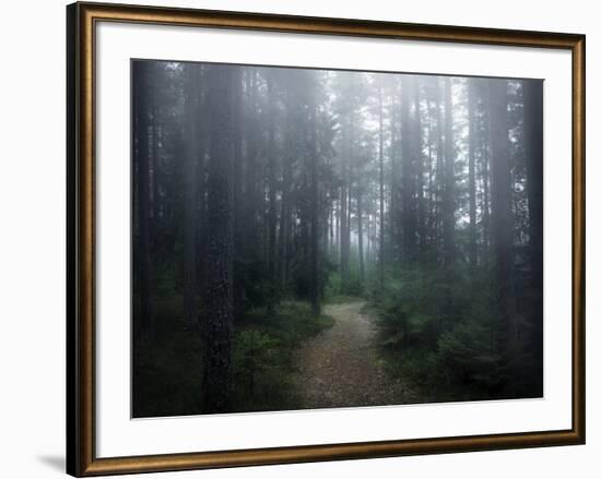 The Forest of Secrets-Christian Lindsten-Framed Photographic Print