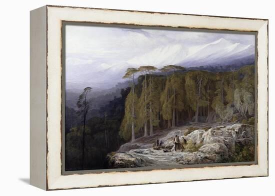 The Forest of Valdoniello, Corsica, 1869-Edward Lear-Framed Premier Image Canvas