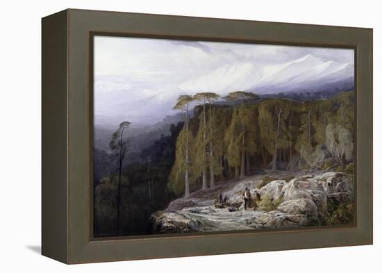 The Forest of Valdoniello, Corsica, 1869-Edward Lear-Framed Premier Image Canvas