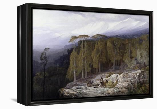 The Forest of Valdoniello, Corsica, 1869-Edward Lear-Framed Premier Image Canvas