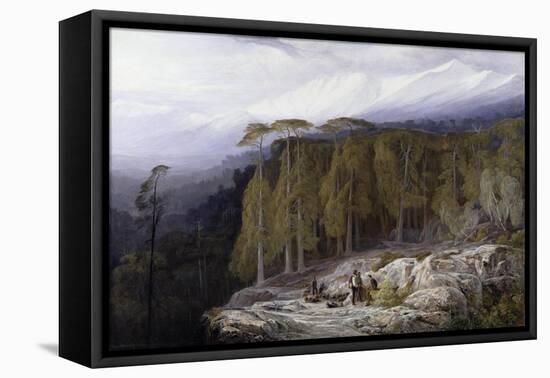 The Forest of Valdoniello, Corsica, 1869-Edward Lear-Framed Premier Image Canvas