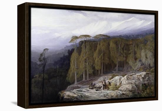 The Forest of Valdoniello, Corsica, 1869-Edward Lear-Framed Premier Image Canvas