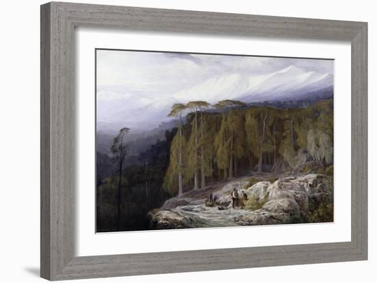 The Forest of Valdoniello, Corsica, 1869-Edward Lear-Framed Giclee Print