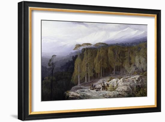 The Forest of Valdoniello, Corsica, 1869-Edward Lear-Framed Giclee Print