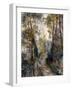 'The Forest Path, 1871' Giclee Print - Pierre-Auguste Renoir | Art.com