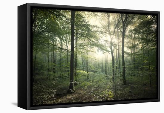 The Forest-Philippe Manguin-Framed Premier Image Canvas