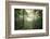 The Forest-Philippe Manguin-Framed Photographic Print