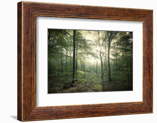 The Forest-Philippe Manguin-Framed Photographic Print