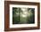 The Forest-Philippe Manguin-Framed Photographic Print
