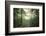 The Forest-Philippe Manguin-Framed Photographic Print