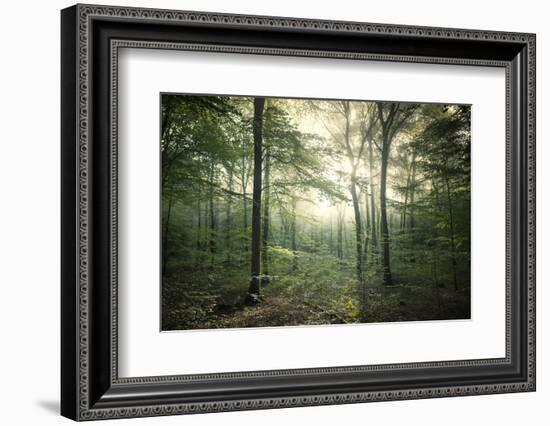 The Forest-Philippe Manguin-Framed Photographic Print