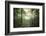 The Forest-Philippe Manguin-Framed Photographic Print