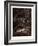 The Forests on the Banks of the Mississippi-Gustave Dore-Framed Giclee Print