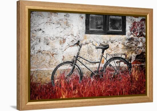 The Forgotten Bike-Philippe Sainte-Laudy-Framed Premier Image Canvas