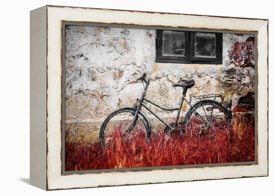 The Forgotten Bike-Philippe Sainte-Laudy-Framed Premier Image Canvas