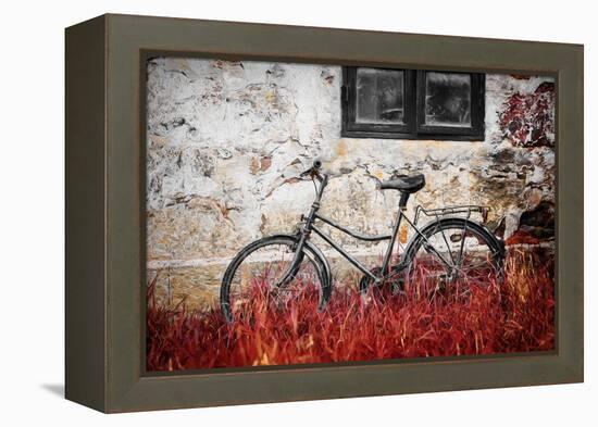 The Forgotten Bike-Philippe Sainte-Laudy-Framed Premier Image Canvas