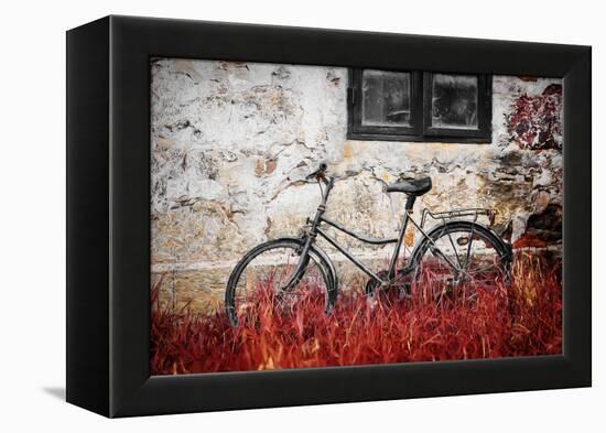 The Forgotten Bike-Philippe Sainte-Laudy-Framed Premier Image Canvas