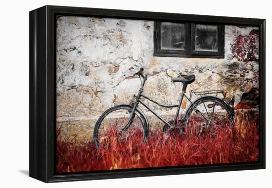 The Forgotten Bike-Philippe Sainte-Laudy-Framed Premier Image Canvas