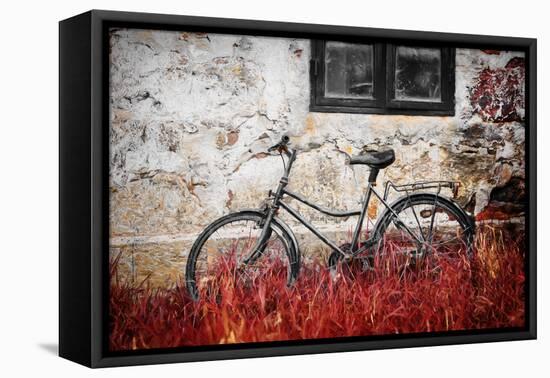 The Forgotten Bike-Philippe Sainte-Laudy-Framed Premier Image Canvas