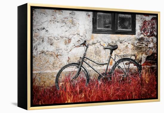 The Forgotten Bike-Philippe Sainte-Laudy-Framed Premier Image Canvas