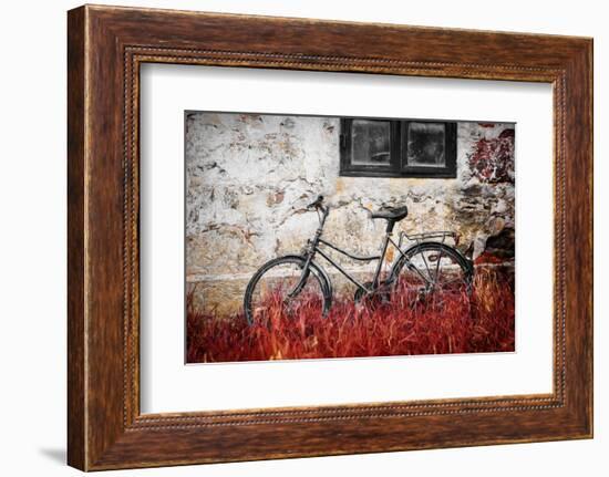 The Forgotten Bike-Philippe Sainte-Laudy-Framed Photographic Print