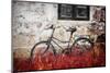 The Forgotten Bike-Philippe Sainte-Laudy-Mounted Photographic Print