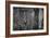 The Forgotten Door-Doug Chinnery-Framed Photographic Print