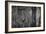 The Forgotten Door-Doug Chinnery-Framed Photographic Print