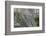 The Forgotten Field-Doug Chinnery-Framed Photographic Print