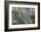 The Forgotten Field-Doug Chinnery-Framed Photographic Print