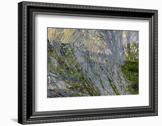 The Forgotten Field-Doug Chinnery-Framed Photographic Print