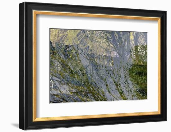 The Forgotten Field-Doug Chinnery-Framed Photographic Print