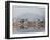 The Fort Looks over Dal Lake at Srinagar, Kashmir, India-Julian Love-Framed Photographic Print