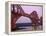 The Forth Rail Bridge, Firth of Forth, Edinburgh, Scotland;-Paul Harris-Framed Premier Image Canvas