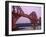 The Forth Rail Bridge, Firth of Forth, Edinburgh, Scotland;-Paul Harris-Framed Photographic Print